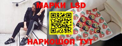 стафф Ставрополь