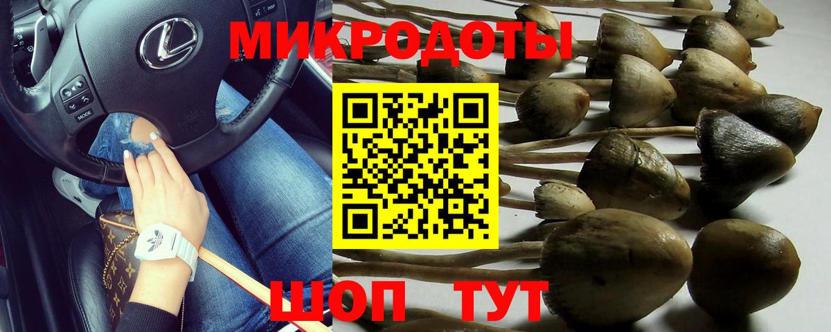 Новоалтайск  Галлюциногенные грибы ЛСД  Вход с VPN 