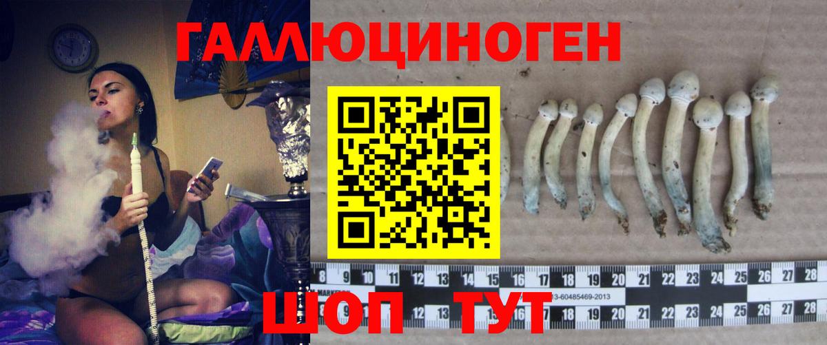 Псилоцибиновые грибы MAGIC MUSHROOMS Новоалтайск